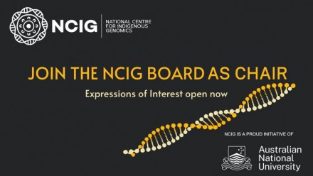 Join the NCIG Board as Chair!
