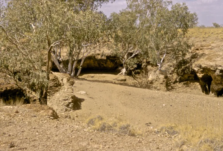 28-halls-creek_20835915269_o