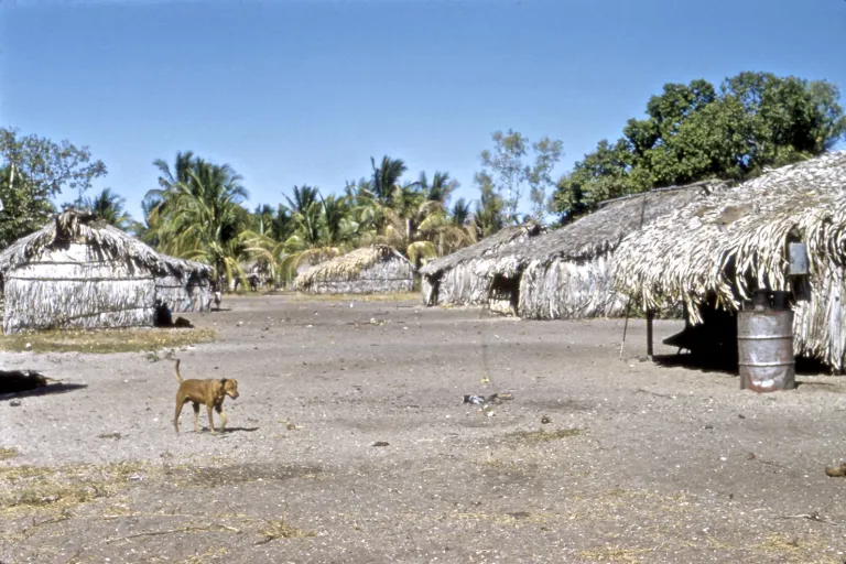 29-edward-river_queensland