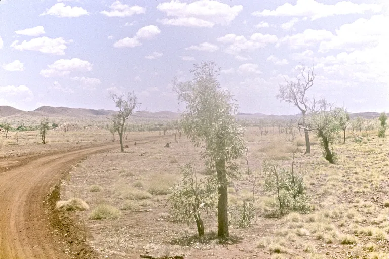 55-halls-creek_20835909499_o