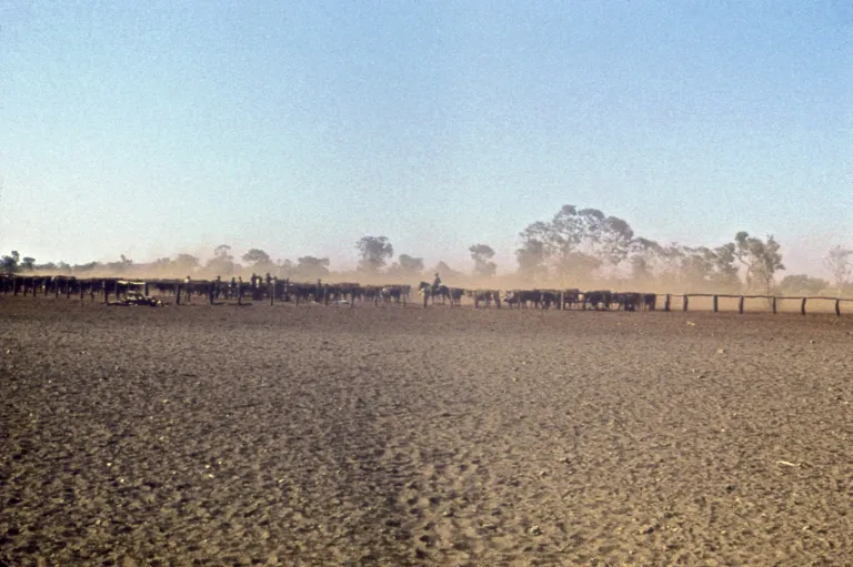 64-halls-creek_20834618420_o