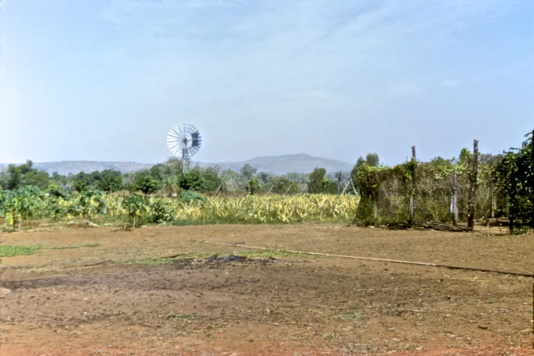 73-kalumburu_20996454796_o