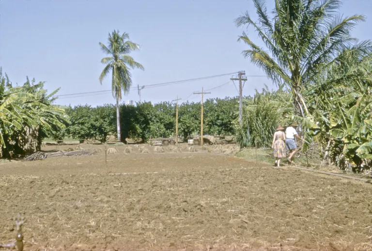 74-kalumburu_20401635723_o