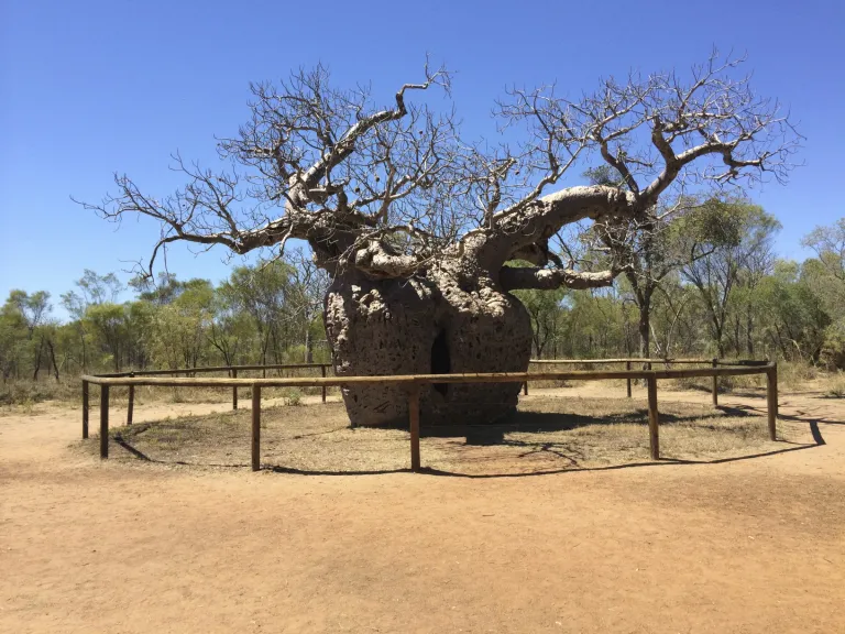 kimberley14-006-3