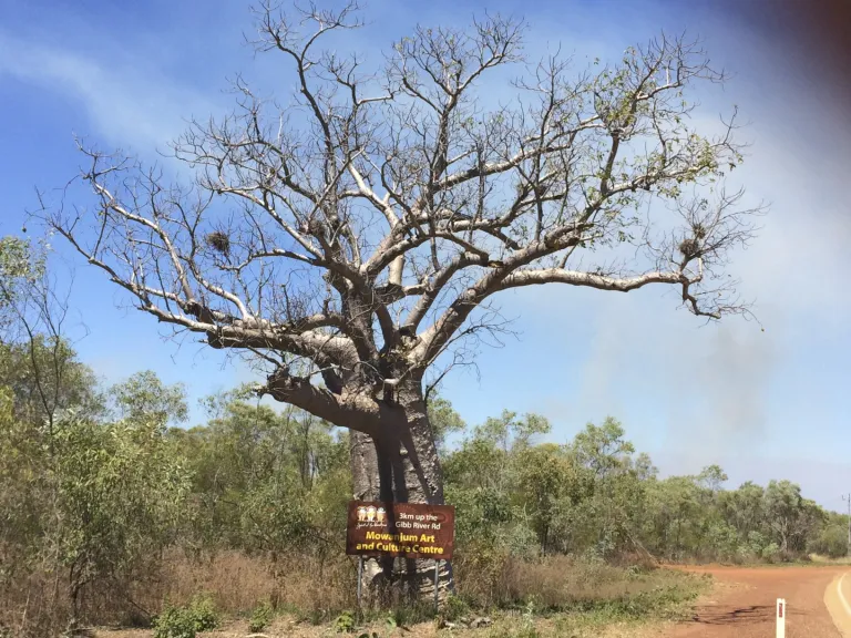 kimberley14-006-5