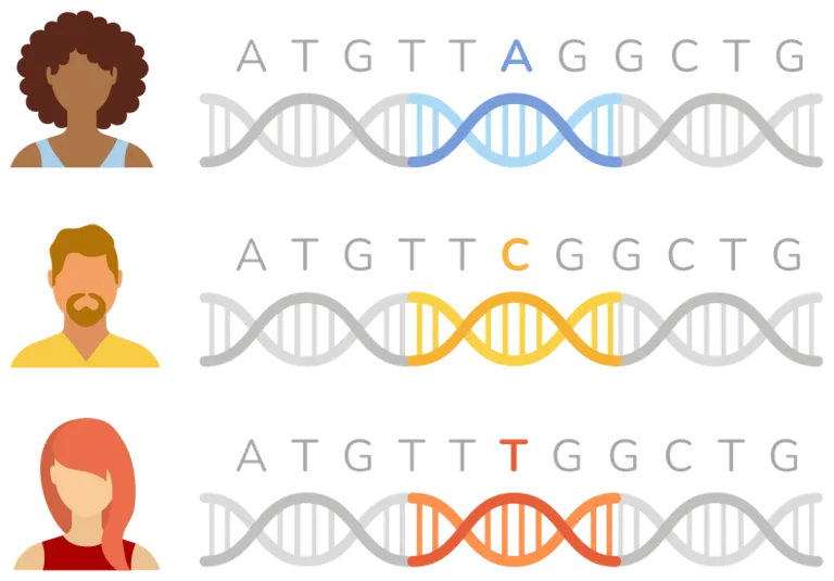 Three people with different DNA letter sequences illustrating genetic variation.