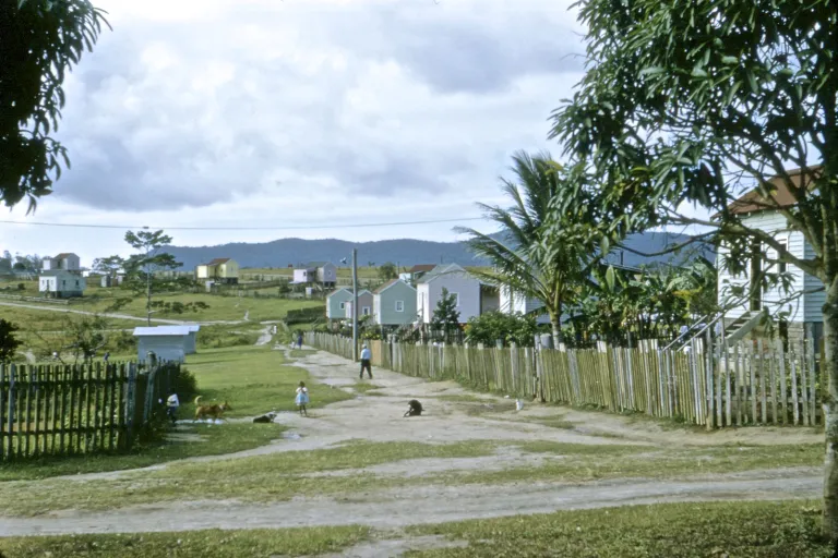 ncig_capeyork_15