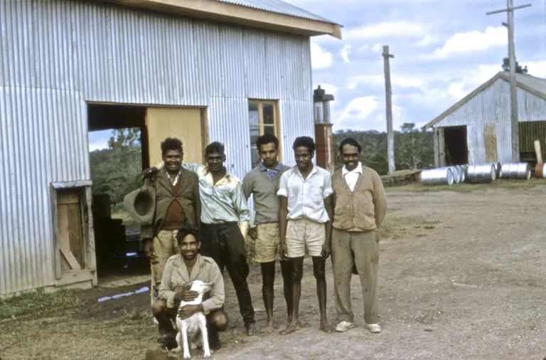 ncig_capeyork_19